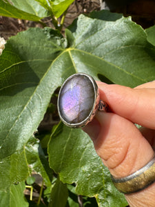 Purple labradorite textured ring