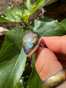 Rainbow labradorite tear drop ring