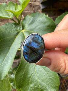 Purple labradorite ring